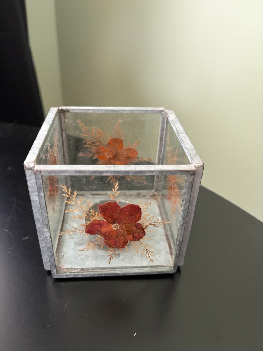 Pier 1 Imports Decorative Pressed Flower Glass Cube Candle Holder